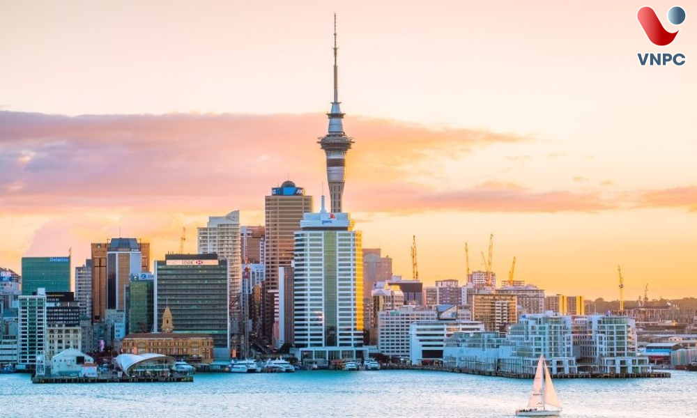 Du học New Zealand có đắt không? Tổng chi phí cần biết